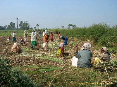 Fotografia dell'India