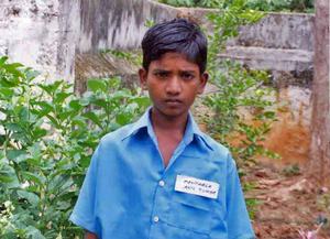 Anil